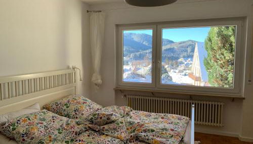 Lichtblick unter der Buche - Photo 5