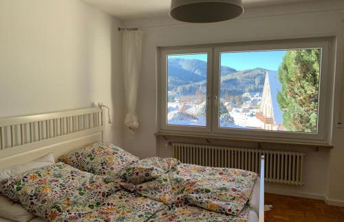 Lichtblick unter der Buche - Foto 11