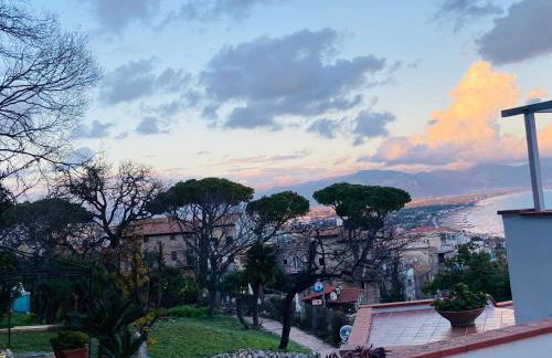 Ippocampo Blanc - Foto 8