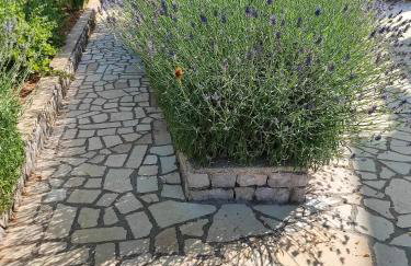 Skulka Apartment - Cres Island - Photo 6