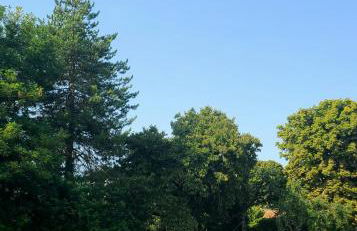 Eco-gîte du Four à pain - Photo 2