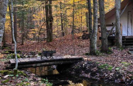 Rustic Safari Tent for a Unique Glamping Experience near Gore Mountain, New York - Photo 11