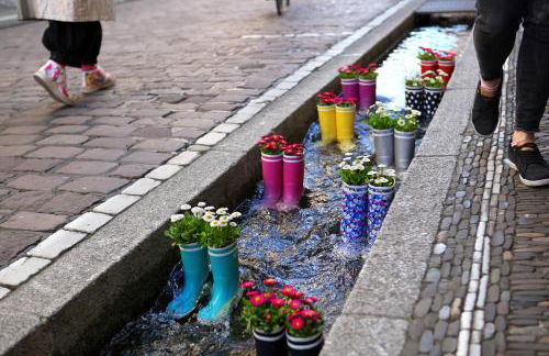 cosy grey apartments - Foto 28