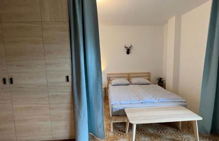 Apartment Ginestra, Sella Nevea - Foto 3