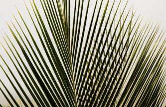 a casinha - Photo 33