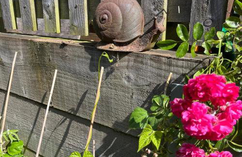 Bull Farm Studios - Foto 50