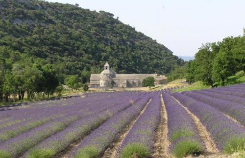 Gite le Mas de l'Amandier - Foto 23