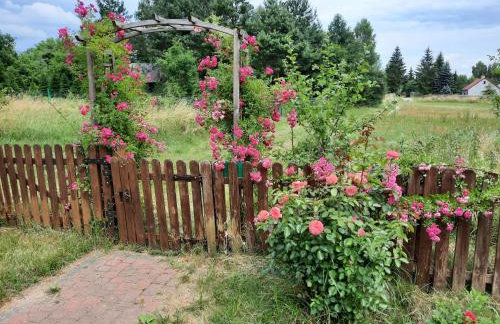 Cichosza - The Sound Of Silence - Foto 6