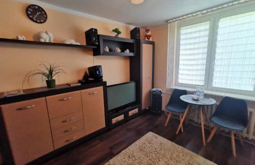 Aparatament PUŁAWY Centrum - Foto 4