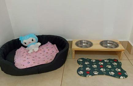 Apartamento amplo e acolhedor, garagem incluída. - Foto 4