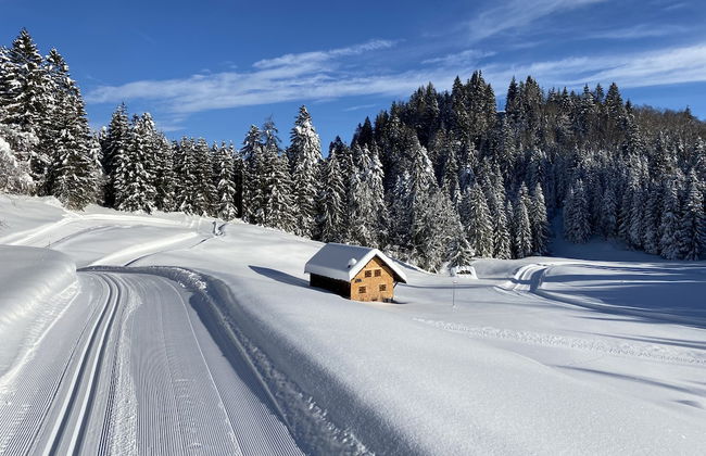 Chalet Tschengla in B Rserberg - Foto 31