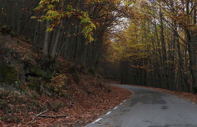Tour en 4x4 por el valle del Ambroz - Foto 5