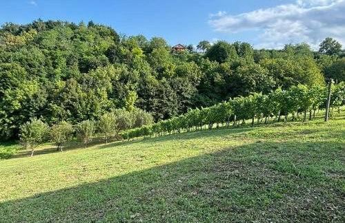 Ruralna kuća za odmor Brezanka, Zagrebačka ulica 21 Gornja Stubica - Foto 40
