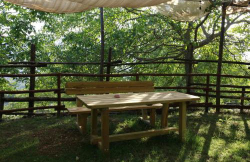 Fattoria Alvaneta - Foto 41