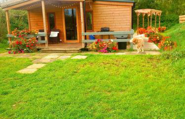 Beautiful Wooden tiny house, Glamping cabin with hot tub 2 - Foto 12