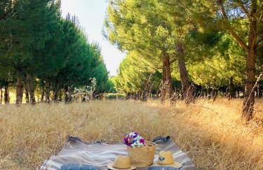 Casas das Piçarras - Alentejo - Foto 19