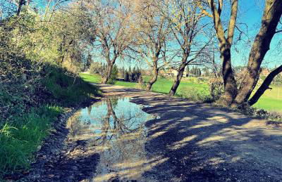 Magical Villa di Gioia Large 6-Bedroom Family Villa with Breathtaking views, Private Garden and Olive grove - in a Cool Village on the Umbria Tuscany Border - Foto 57