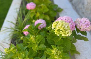 Guest House Lena, Nerezine, Mali Losinj - Foto 5