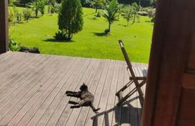 Sítio Vida - Photo 28