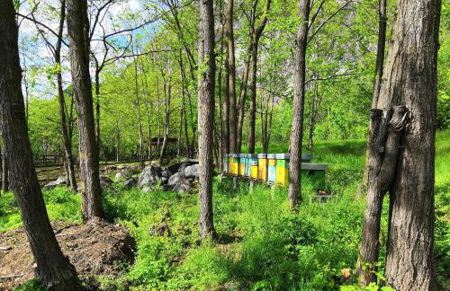 Agriturismo Val Codera - Photo 14