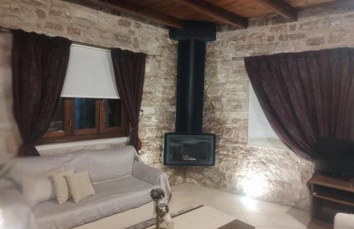 Petrino Rodo - Foto 43