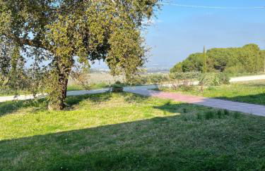 Podere Baratta agriturismo e cantina - Foto 12