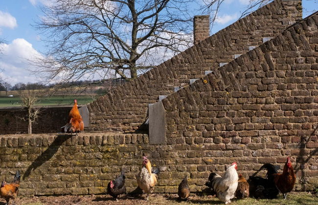 Flat in Water Mill 10 km From Maastricht - Photo 22