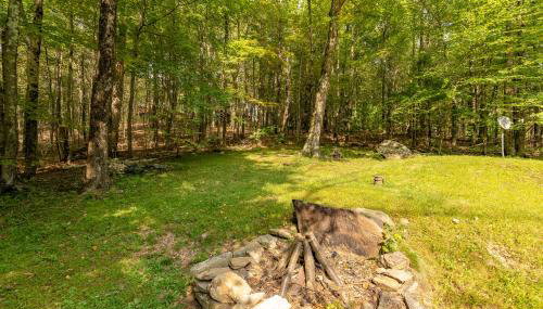 Cozy Berkshires Cabin with Lake, Beach, Hot Tub, Fireplace - The Wilde BNB - Foto 5