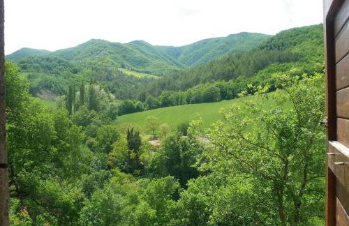 Agriturismo Orsaiola - Foto 54