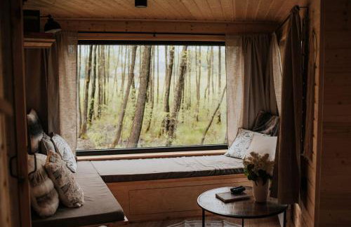 Dziki Las - domki na drzewach - Foto 12