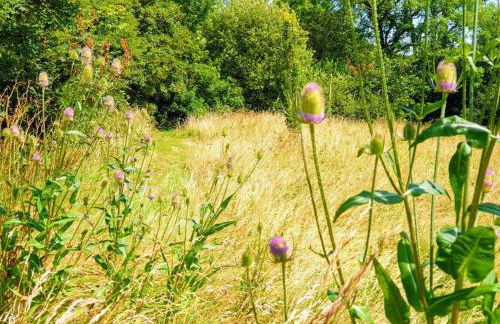 The Potting Shed near Tenby, 100" Projector, Four poster bed, On-site HOT TUB access via Spa Pack - Photo 7