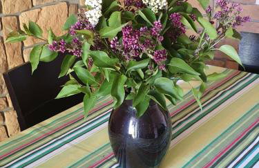 Zielona Mila Dom Wakacyjny - Foto 13