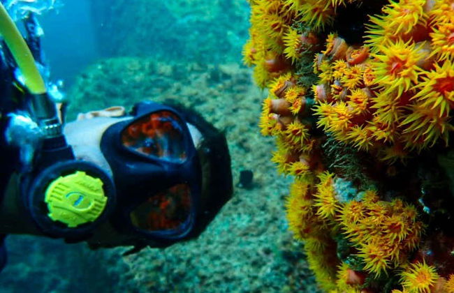 NAUI Open Water Diving Course in Ilhabela - Photo 6