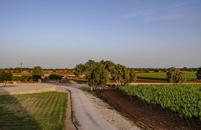 Finca Gomera, Luxury Country House - Foto 76