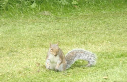 The Potting Shed - Foto 19