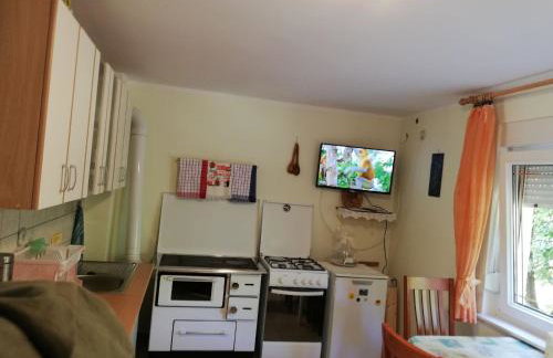 Paun - Photo 15