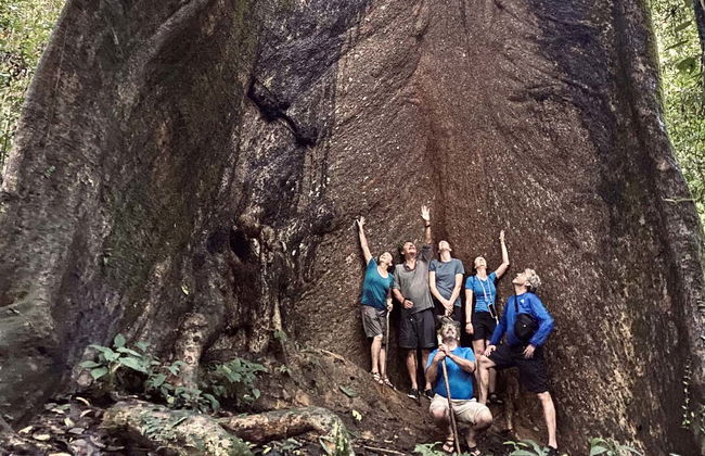 Observation d'orangs-outans à Gunung Leuser en 3 à 4 jours - Photo 8