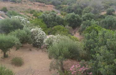 Cuckoo's nest - Photo 3