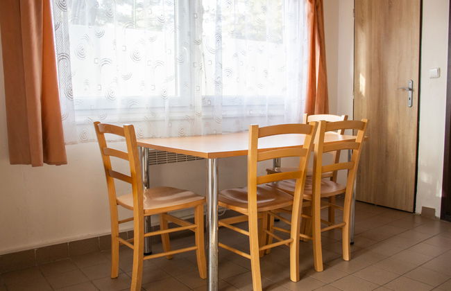 4 bedroom House in Hradec Kralove with garden - Photo 7