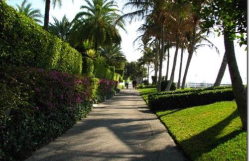 Hemingway Suites at Palm Beach Hotel Island - Photo 62