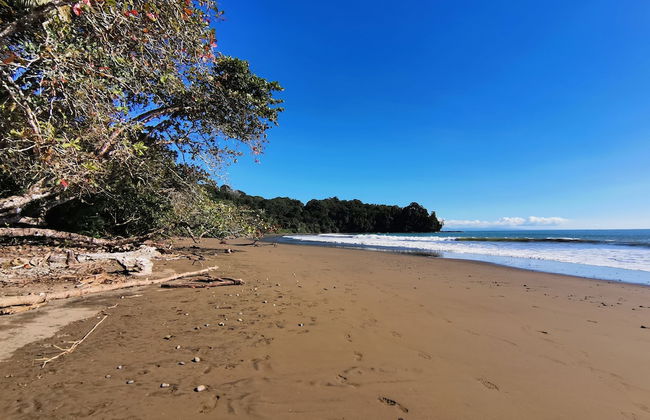 Elan at Ballena Beach - Foto 49