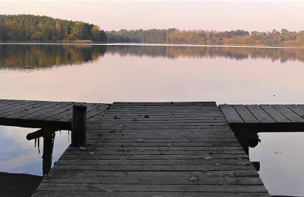 Agroturystyka Lisa Młyn - Foto 21