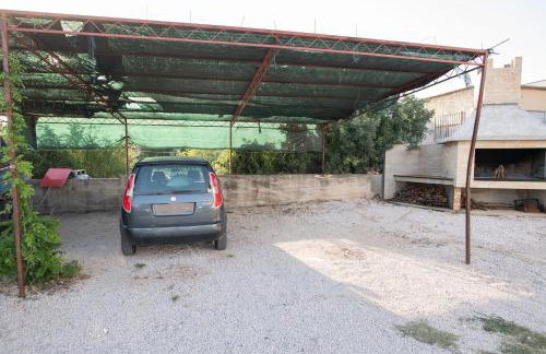 Amaryllis - Photo 20