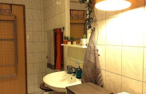 Spacious Home in Old-West - Leutsch - Foto 28