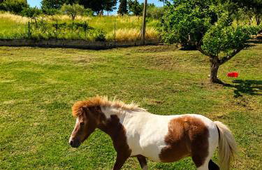 La Collina Dei Castagni - Foto 41