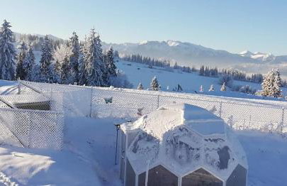 Domek JuKa - Foto 49