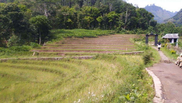 Borobudur Private Excursion + Hiking to Selogriyo Temple - Foto 2