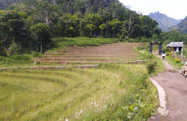 Borobudur Private Excursion + Hiking to Selogriyo Temple - Photo 2