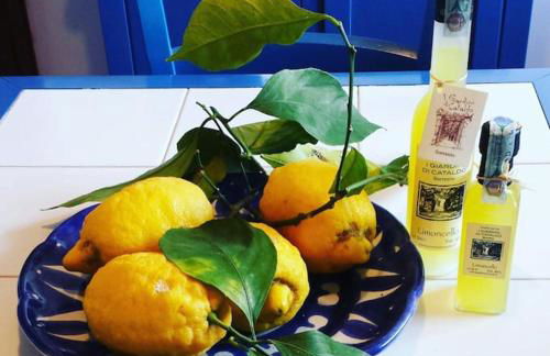 Villa Rosamaria Exclusive Sorrento & Amalfi coast - Foto 28