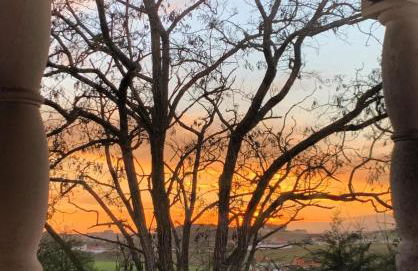 Santuário SOS Animal - Foto 24